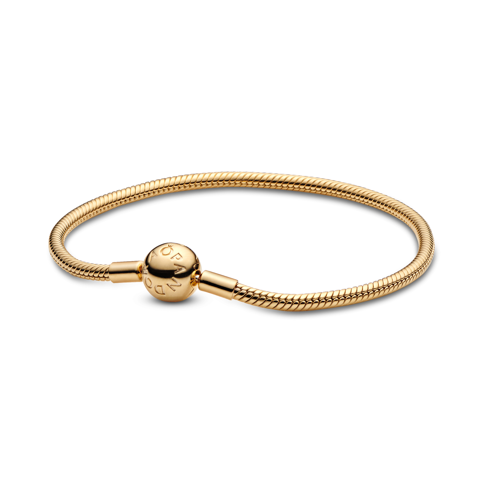 Браслет Moments в Pandora Shine