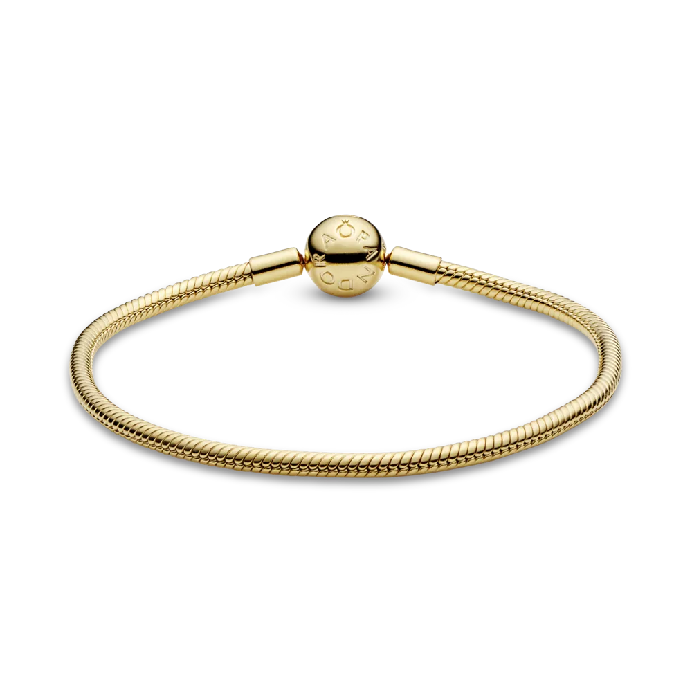 Браслет Moments в Pandora Shine